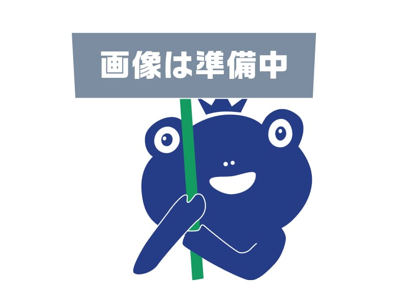 N5-TSY (イエロー) 純正品トナー